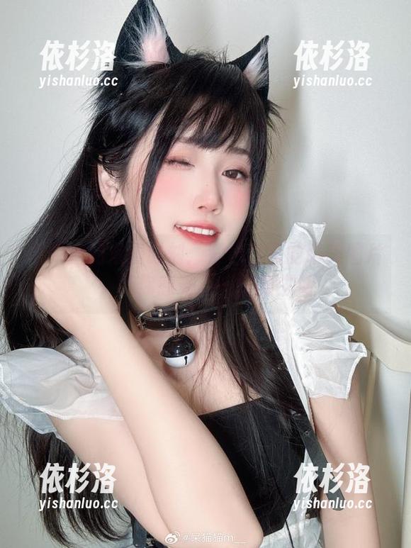 不呆猫 不呆猫的浪漫时刻:紫色日常的唯美图片,带你感受不一样的生活