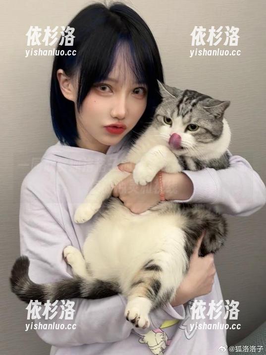 狐洛洛子 一同欣赏狐洛洛子的全套花嫁作品,打动你的心灵和视线